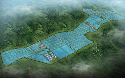 廣西現代漁業(yè)種業(yè)示范園（核心區）建設項目